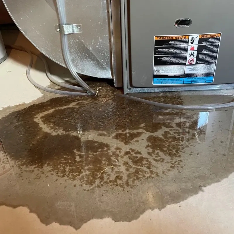 Pipe Burst and Leak Restoration in Armstrong County, PA